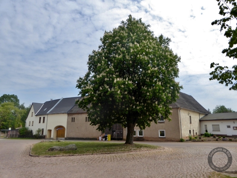 Bauernstein in Schlettau (Wettin-Löbejün) im Saalekreis