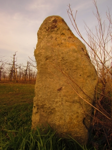 Menhir "Hexenstein" (Butterstein) bei Höhnstedt im Saalekreis