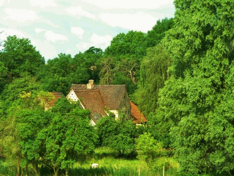 Fuchsmühle in Nehlitz