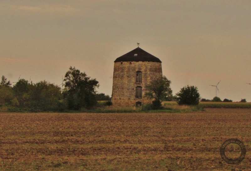 Turmholländer-Windmühle nördlich von Schafstädt im Saalekreis