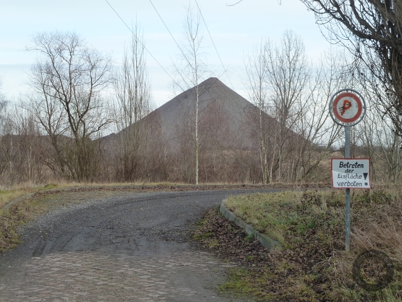 Hochhalde westlich von Teutschenthal Bahnhof im Saalekreis