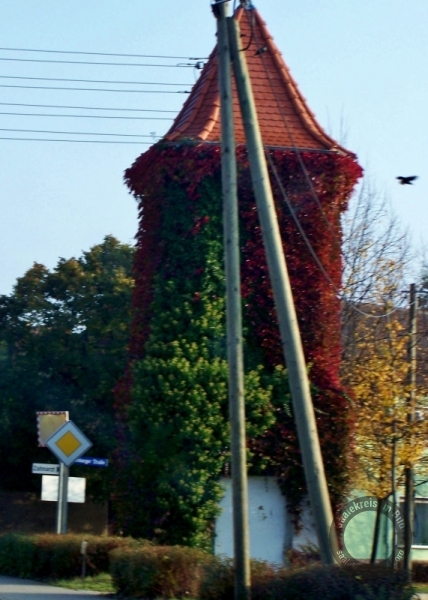 Trafoturm (Artenschutzturm) in Brachstedt (Petersberg) im Saalekreis