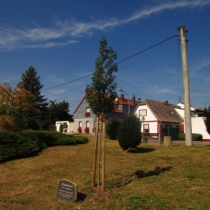 Denkmal "1000 Jahre" (Feldahorn) in Raßnitz (Schkopau) im Saalekreis