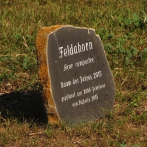Denkmal "1000 Jahre" (Feldahorn) in Raßnitz (Schkopau) im Saalekreis