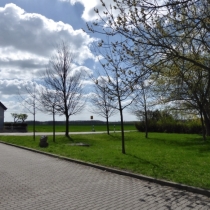Denkmal für die Appelsbäume (Appelsfest) in Osmünde (Kabelsketal) im Saalekreis