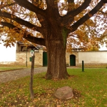 Bauernstein in Obhausen-St. Johannis (Weida-Land) im Saalekreis