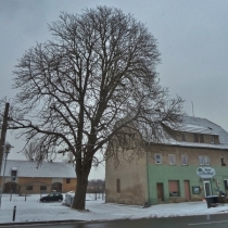 Preußischer Hof ("Zum Salzatal") in Langenbogen im Saalekreis