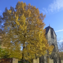 Katholische Kirche St. Salvator in Querfurt im Saalekreis