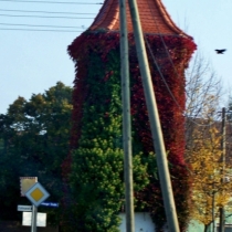 Trafoturm (Artenschutzturm) in Brachstedt (Petersberg) im Saalekreis